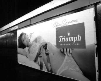 triumph-009-2006_687_12